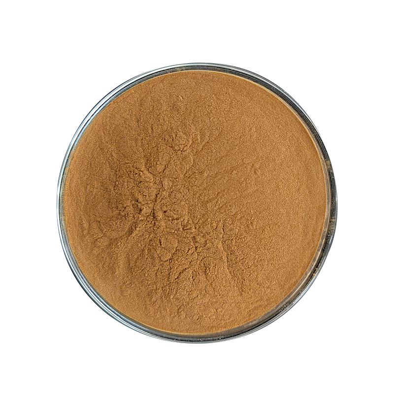 High Quality Organic Melissa officinalis Leaf Lemon Balm Extract Powder