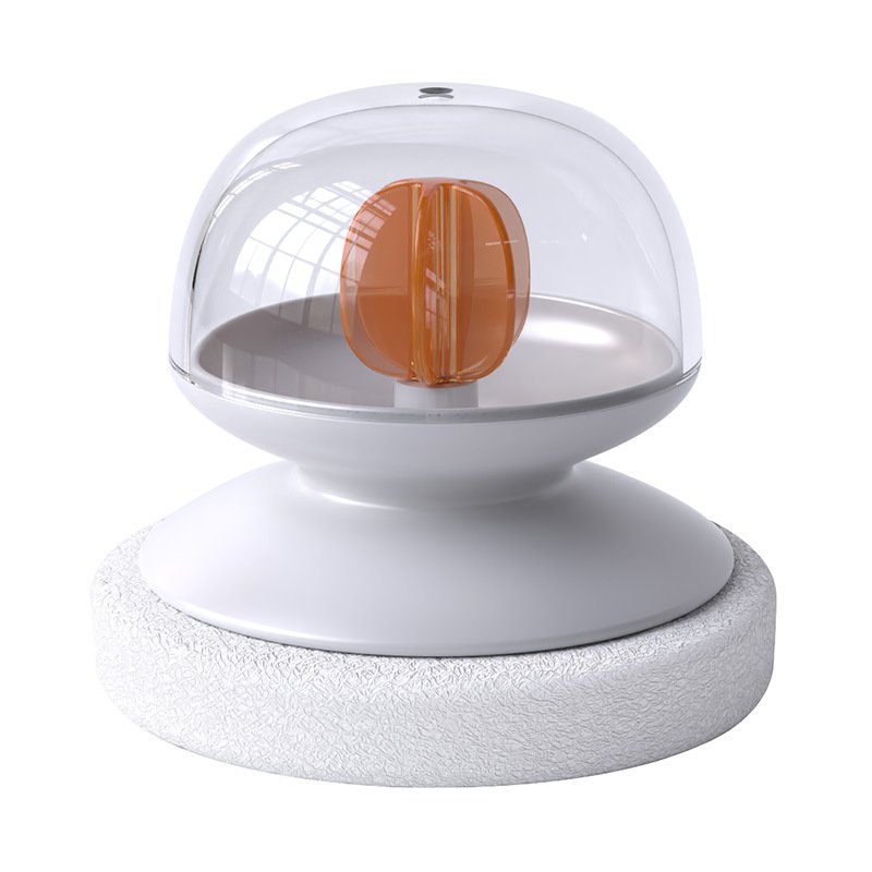 Kitchen Wet and Dry Cleaning Brush Dish Brush with Handle Oil and Stain Cleaning Pot Brush