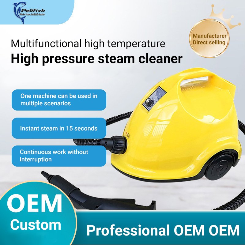 Instant high-temperature sterilization and disinfection Steam Cleaning Machine car carpet high pressure steam cleaner