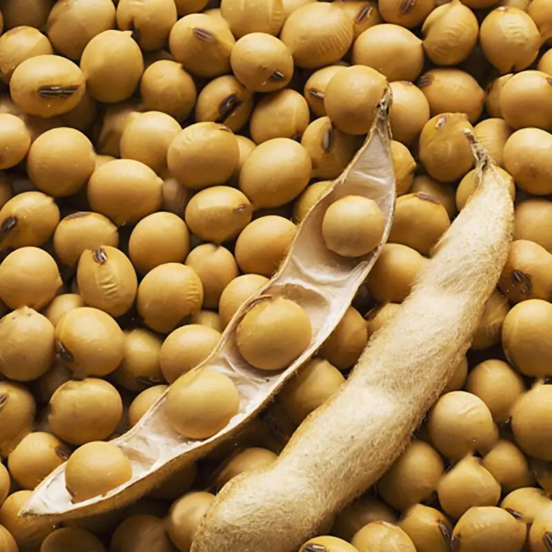 Innovy High Quality Soybeans meal Animal Feed Natural Organic Soybeans meal