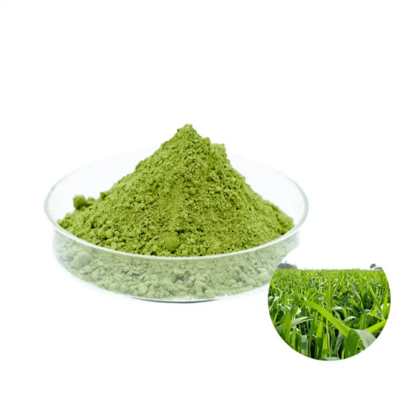 Innovy Bulk Supply Barley Leaf Juice Powder Green Barley grass powder 100% Organic Natural TLC Barley Seedling Extract