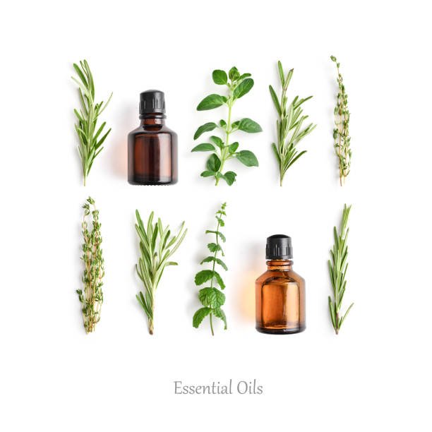wholesale branded Majmua perfumes original oil perfume raw materials body oil fragrance designer Muslim perfume Majmua