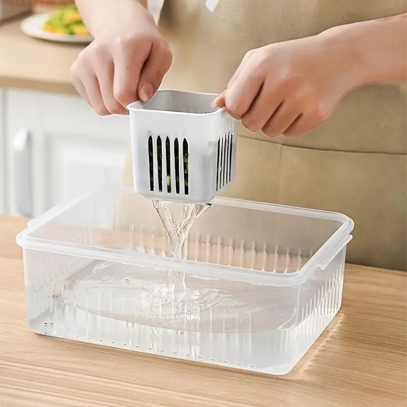 6 in 1 food storage and container refrigerator food keeping free scallion storage boxes for kitchen