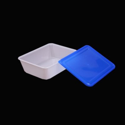 Competitive Price Hot Selling PP Food Containers Microwavable Take-Away Convenient Storage Plastic Food Containers With Lids