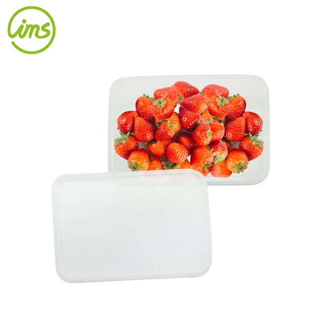 Made in Vietnam 750ml Takeaway Plastic Rectangular Food Container