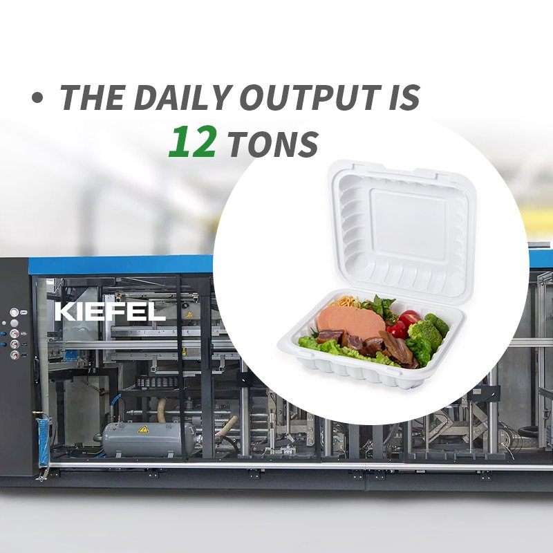 YANGRUI 17oz MFPP Plastic Biodegradable Clamshell To Go Containers Eco Friendly Wholesale Hot Seller Square Burger Boxes