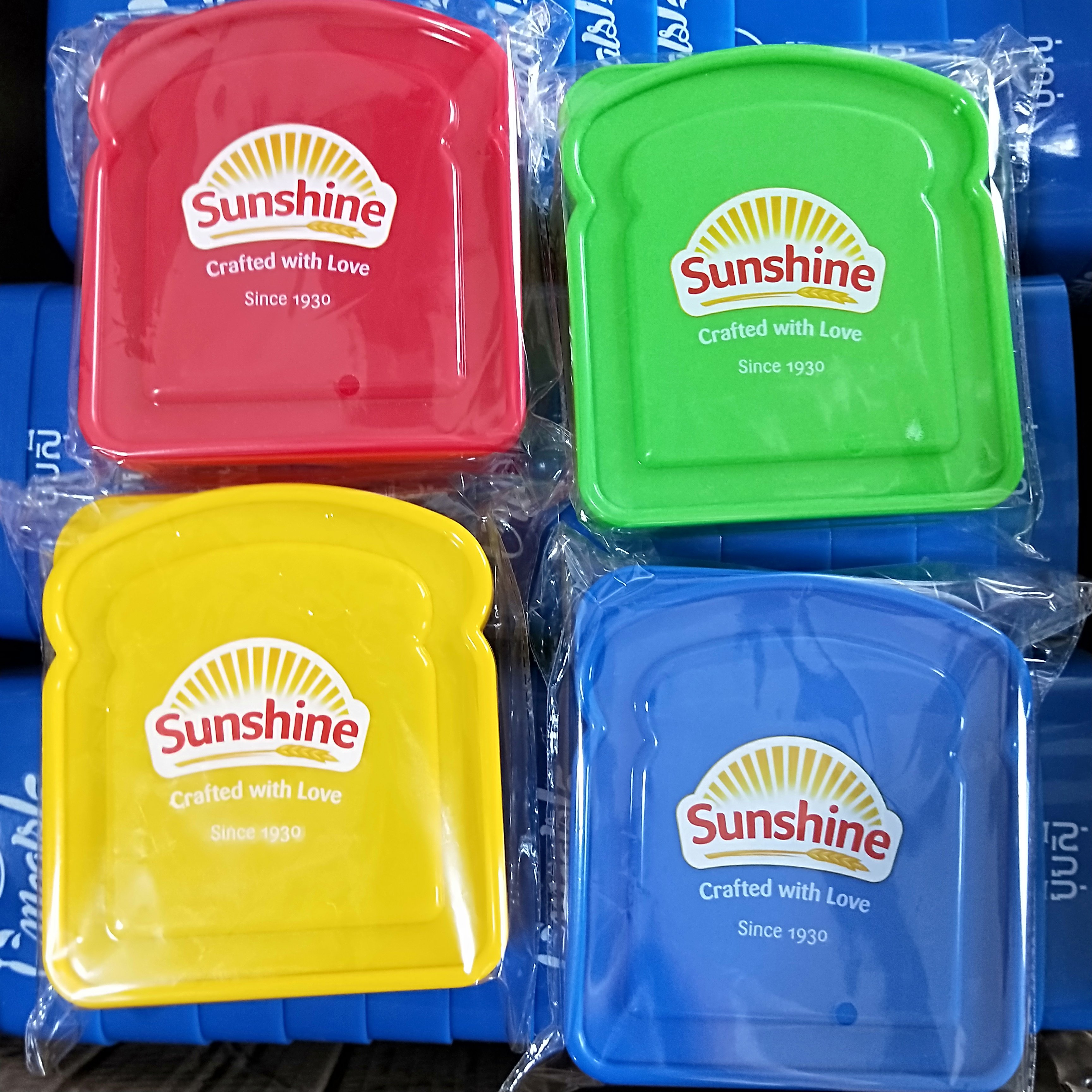 Plastic Sandwich Box Compact Food Storage Container