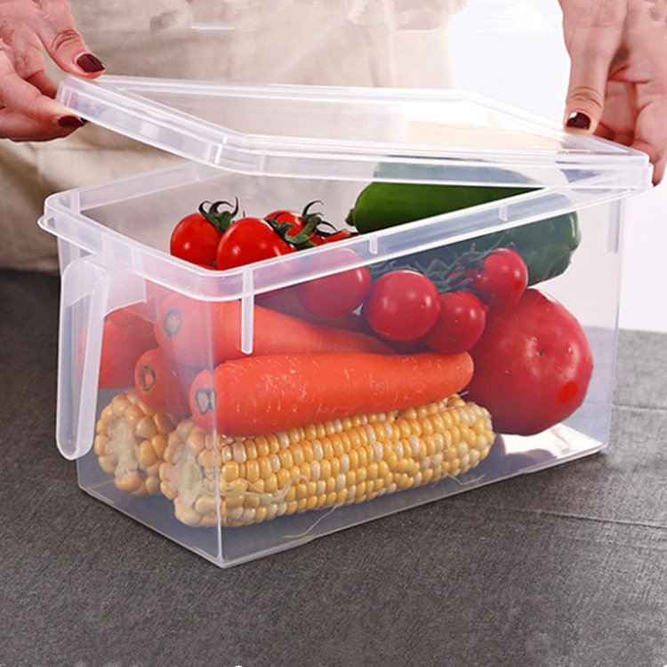 Eco-friendly Kitchen Case Large Capacity Food Storage Container with Handle
