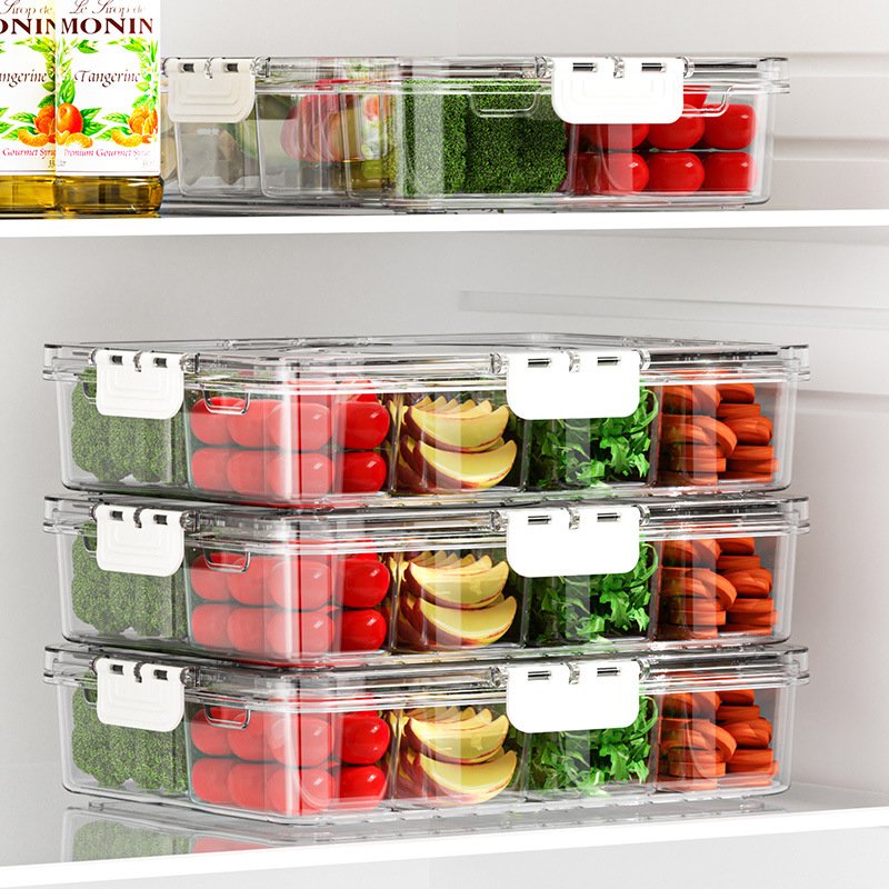 Divided Serving Tray Transparent Snack Plastic compartmented Sealed against odor food storage box with Lid and Handle for Fridge