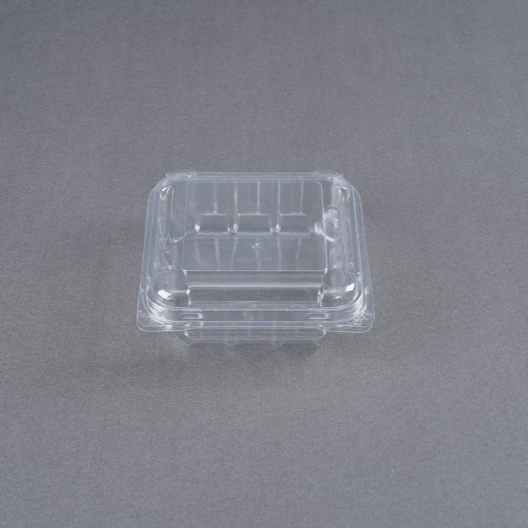 Factory Custom Clamshell Disposable PET Candy Storage Dry Fruit container
