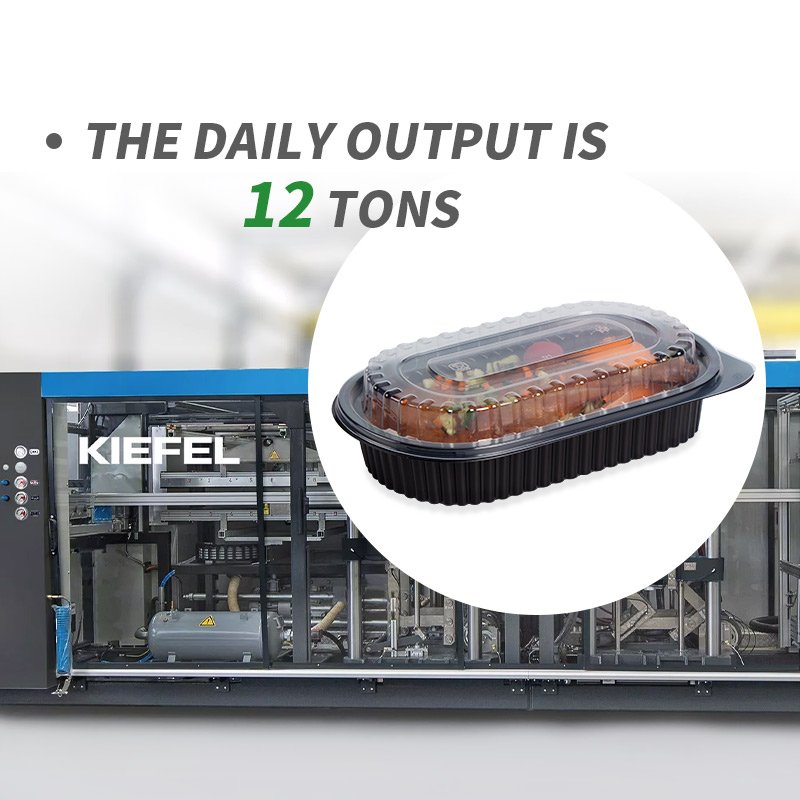 Wholesale Disposable 2 Compartment Food Container With Lids For Airtight Take Away Food Storage Containers