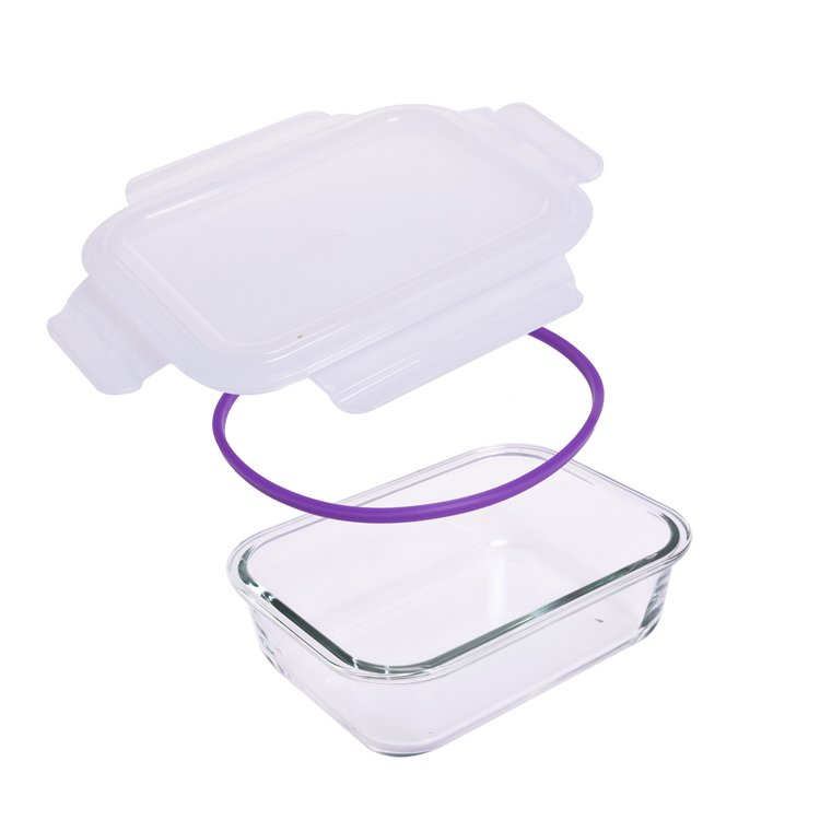 IKOO hot sale products free samples high borosilicate glass food storage container set with airtight lid