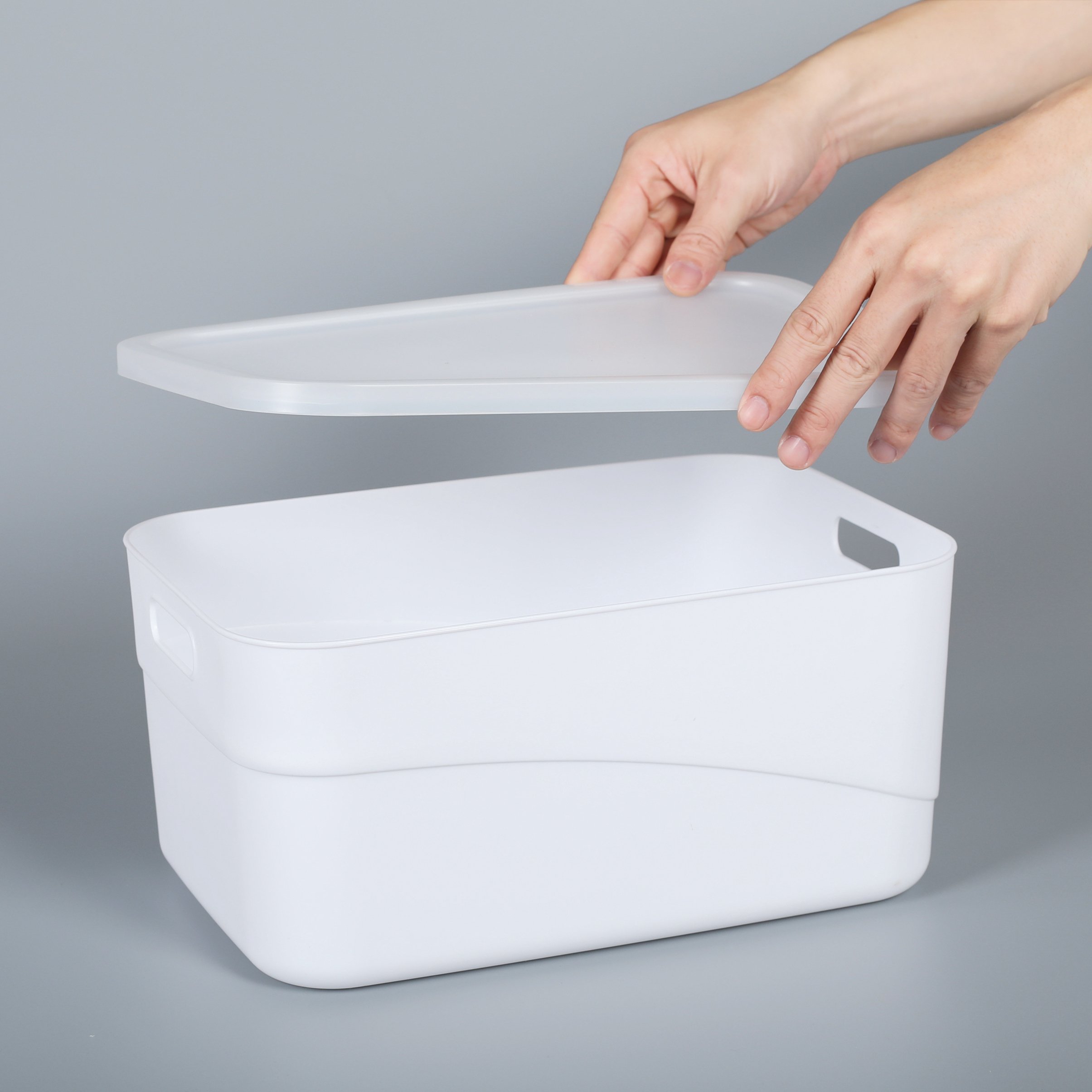 Hot Sell Durable Plastic Sundries Storage Box With Handle And Lid