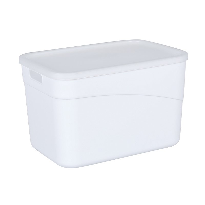 Hot Sell Durable Plastic Sundries Storage Box With Handle And Lid
