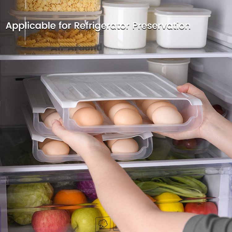 Big Volume Transparent Food Storage Container Auto-Roll Egg Kitchen Storage Box
