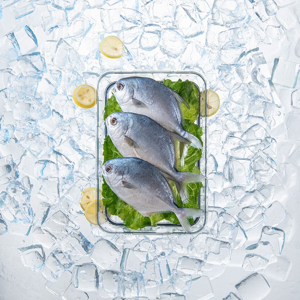 Crisper Plastic Fresh-Keeping Food Storage Box Clear Fridge Container Organizer Refrigerator Storage Box For Refrigerator