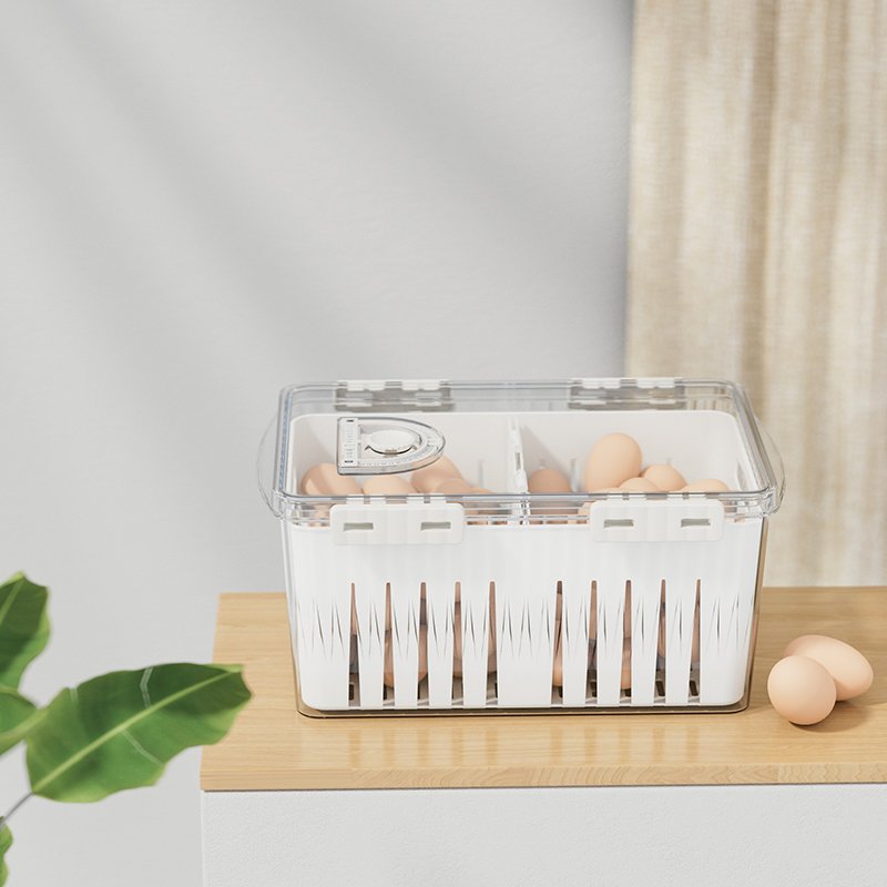 Kitchen Refrigerator Square Timing function keep fruit vegetable fresh Plastic Storage Boxes