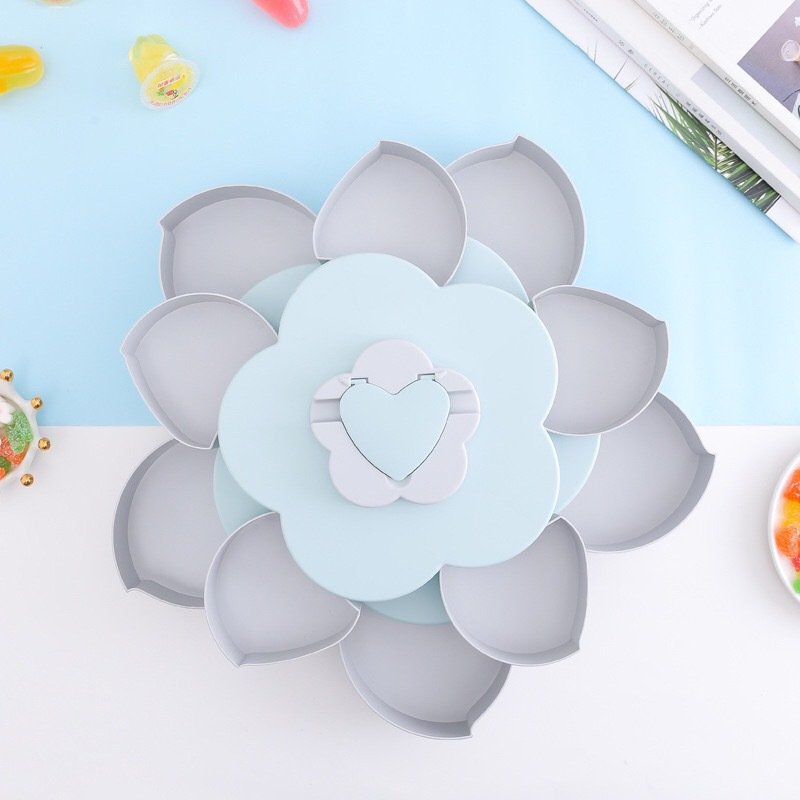 Guaranteed Quality Proper Price Single Layer Two Color Plastic Silicone Snack Fruit Tray Storage Boxes