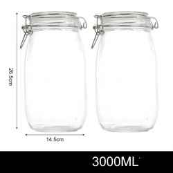 3000ml