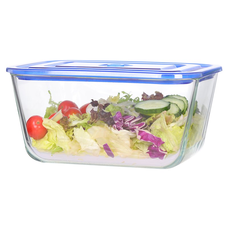 Borosilicate glass vacuum food container with pump