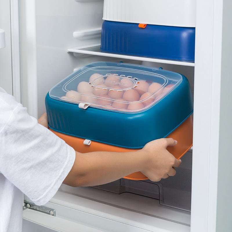 Clamshell Egg Storage Basket Egg Storage Box Egg Divider