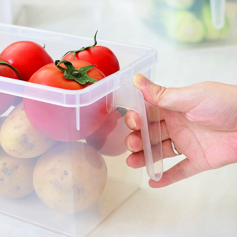 5L Cheap refrigerator storage box transparent portable plastic fruits vegetables fridge organizer