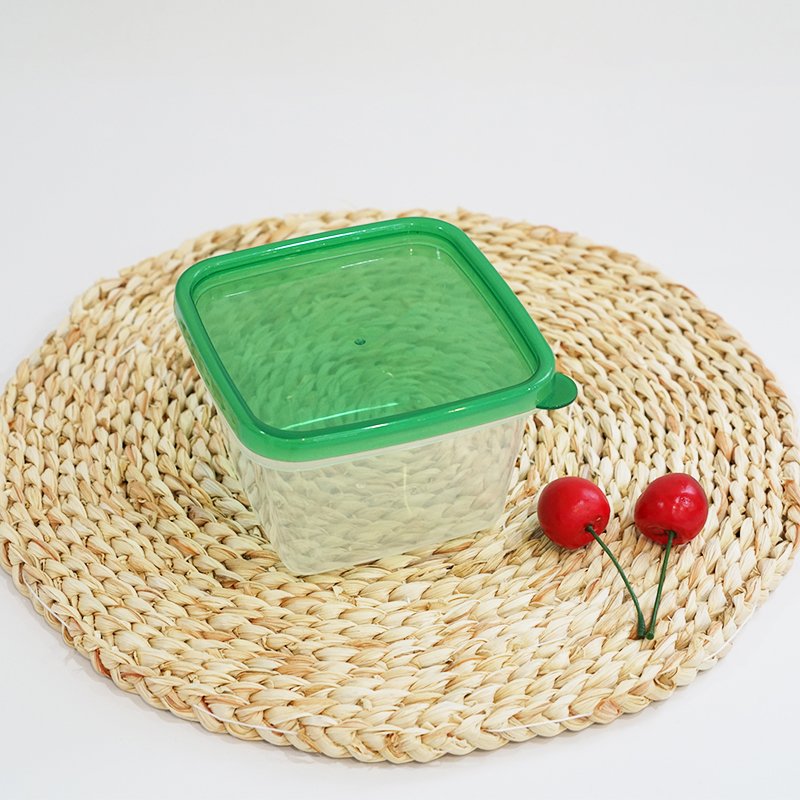 Factory sale LOW Price 480ml Reusable food storage container plastic food keep fresh box