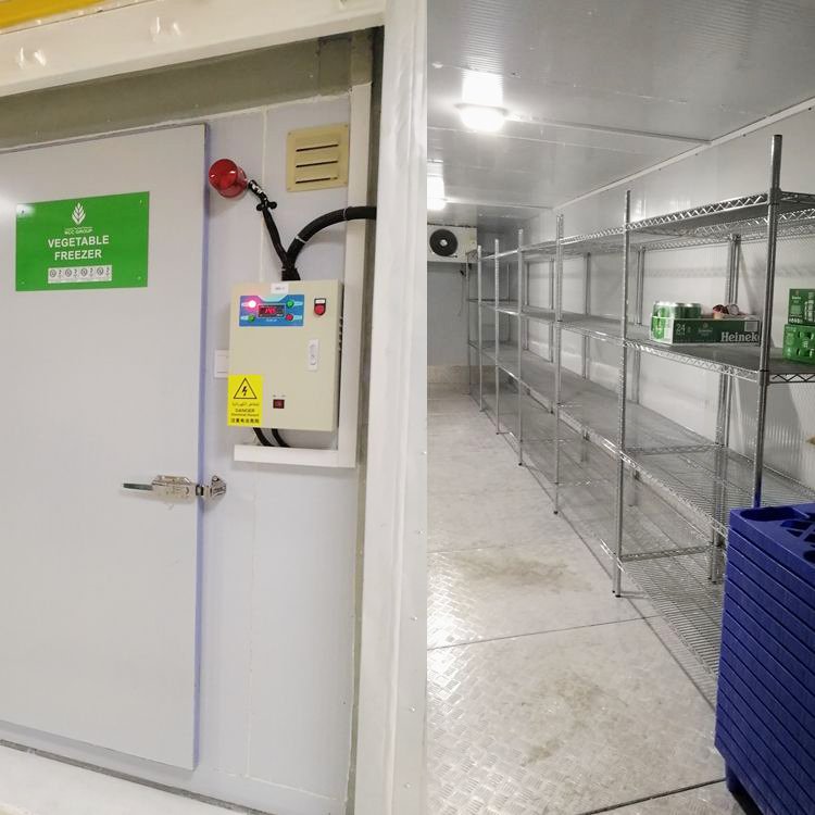 Commercial Hotel Cold Storage Refrigerator Meat Freezer Cold Room Refrigerator