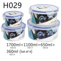 H029