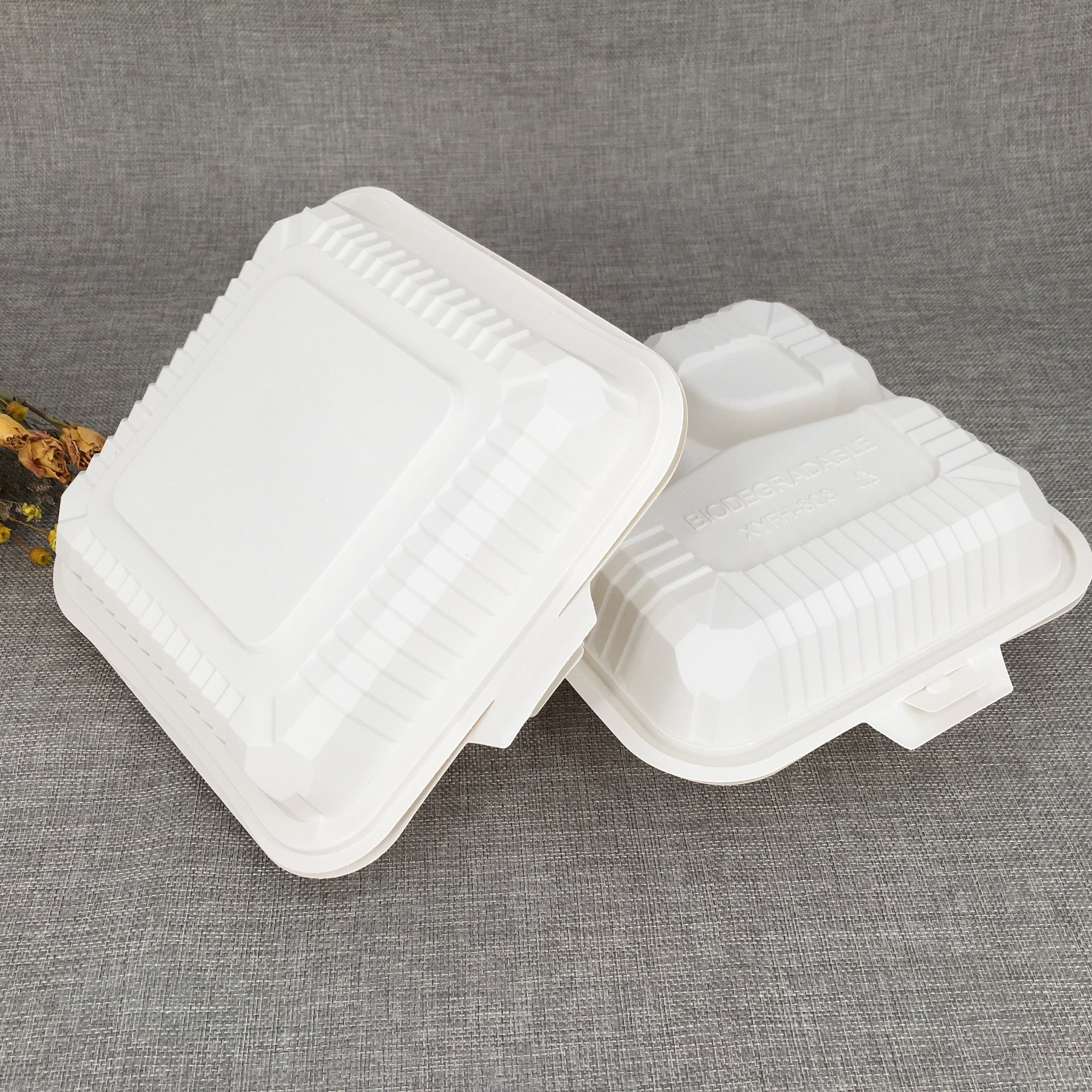 Wholesale Hot Dog Lunch Box Disposable Biodegradable Cornstarch Clamshell Box