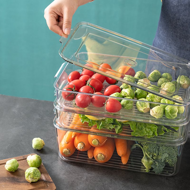 16 pcs kitchen refrigerator clear plastic egg storage box