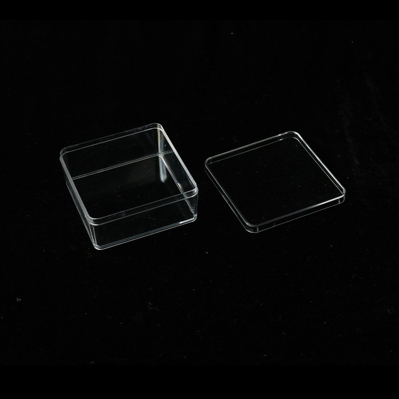 Chinese Factory Low Price Wholesale Small Square Clear Plastic Storage Boxes For Tool Box Food