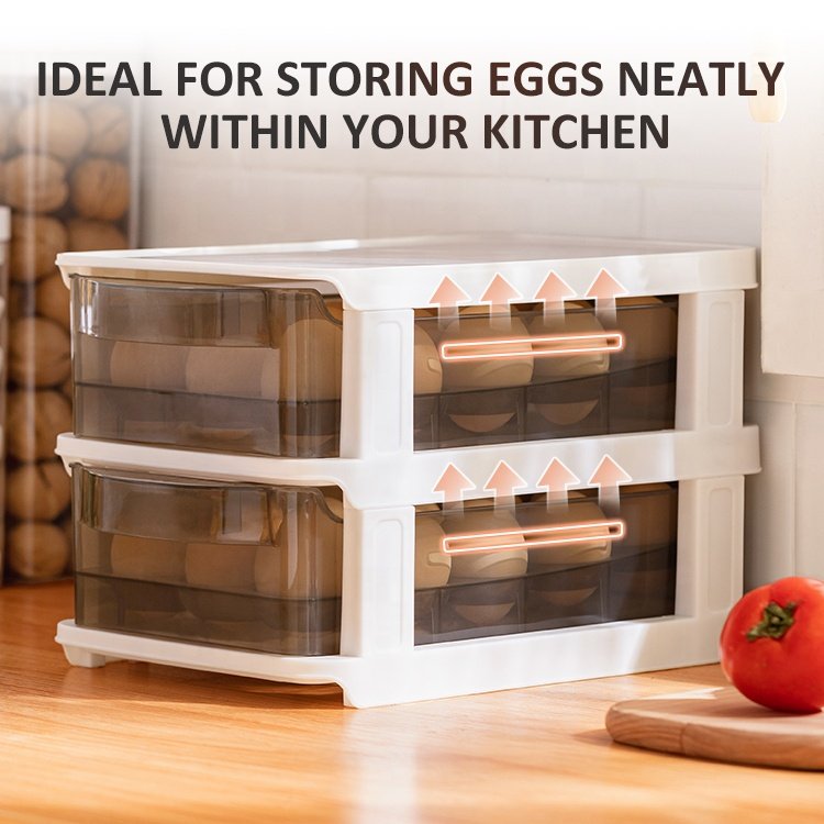 Plastic Kitchen Pet Egg Storage Boxs & Bins Egg Dispenser Drawer Type Refrigerator Modern Egg Container