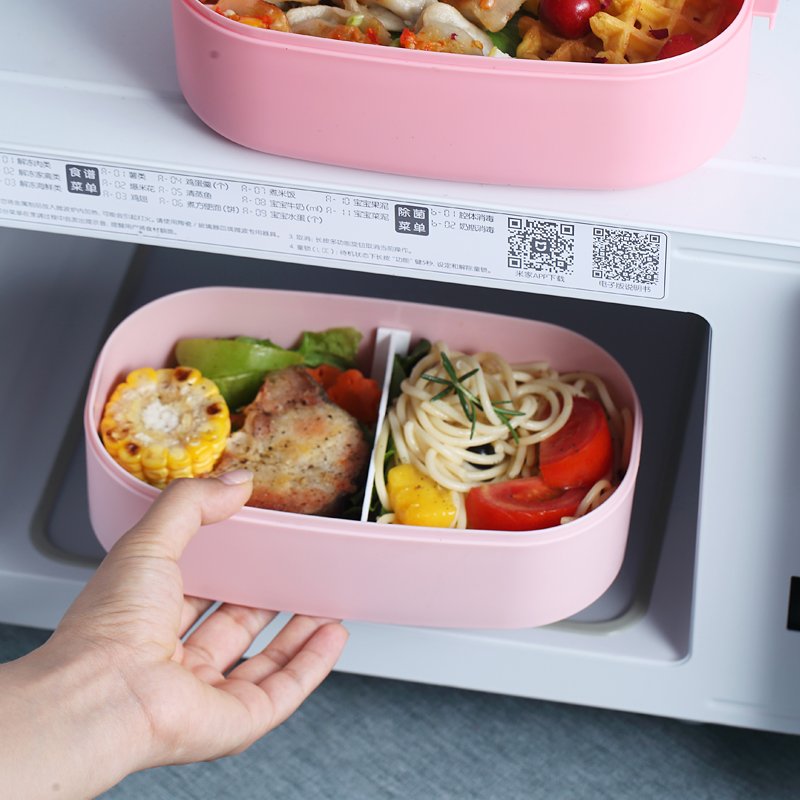 Portable leakproof 2 layer plastic and stainless steel tiffin container food storage box
