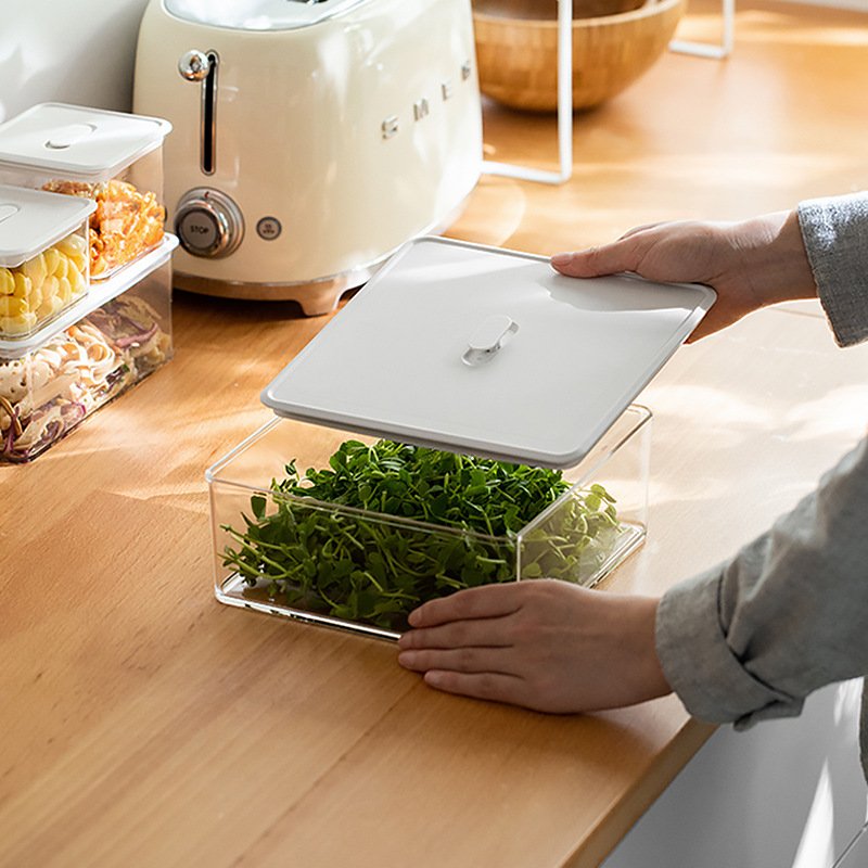 Kitchen Fridge Organization Food Fruits Vegetable Plastic Storage Box Freezer Refrigerator Container Storage Bins with Lid