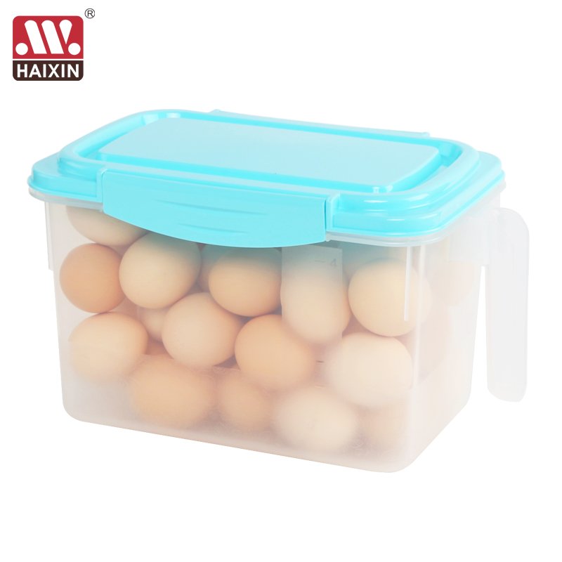 Haixin 4.5L Refrigerator Box Plastic Food Storage Container With Handle And Lid For Fruits/Vegetables/Food
