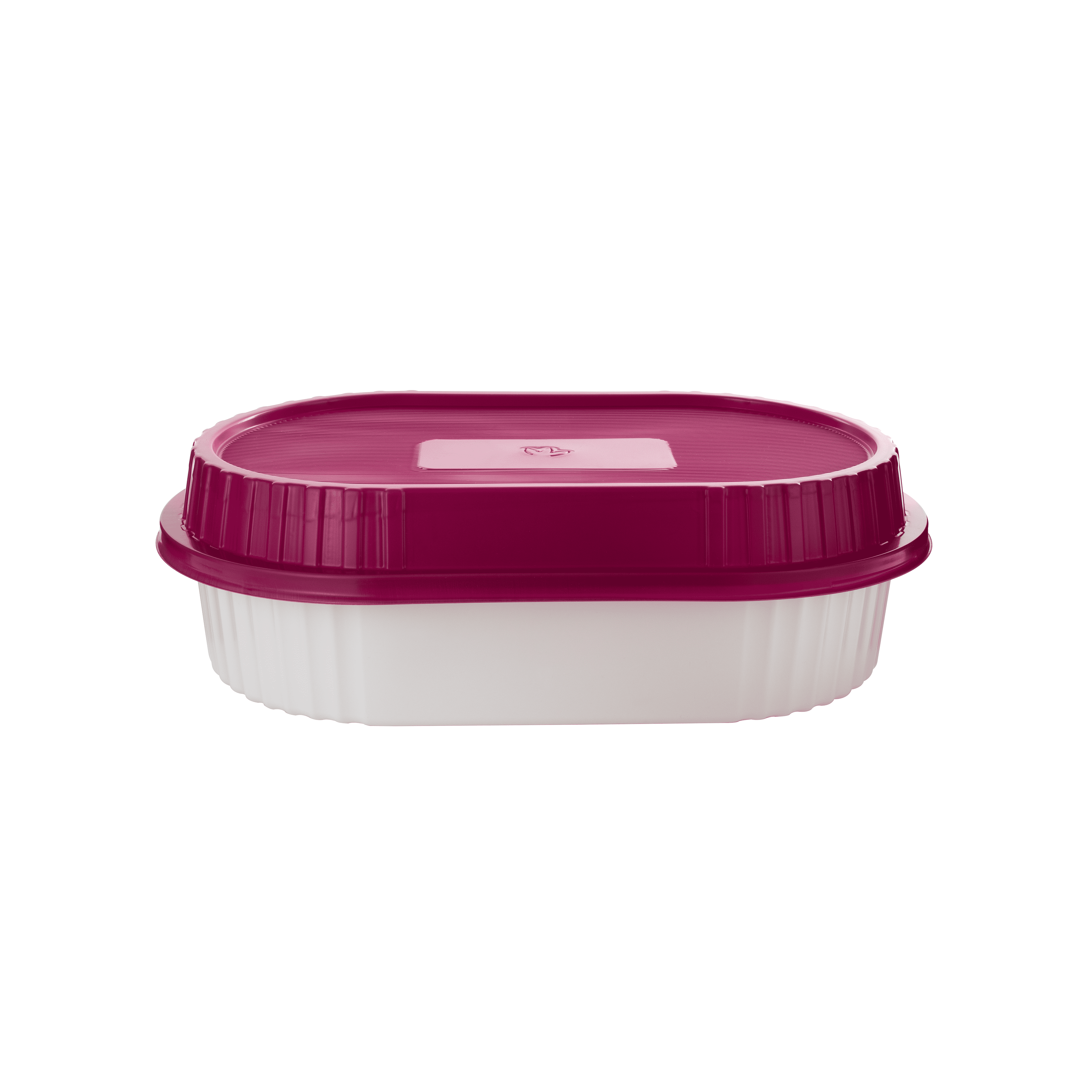Shantou QingFeng 2 layer food storage container BPA FREE container for food pack with cheap price