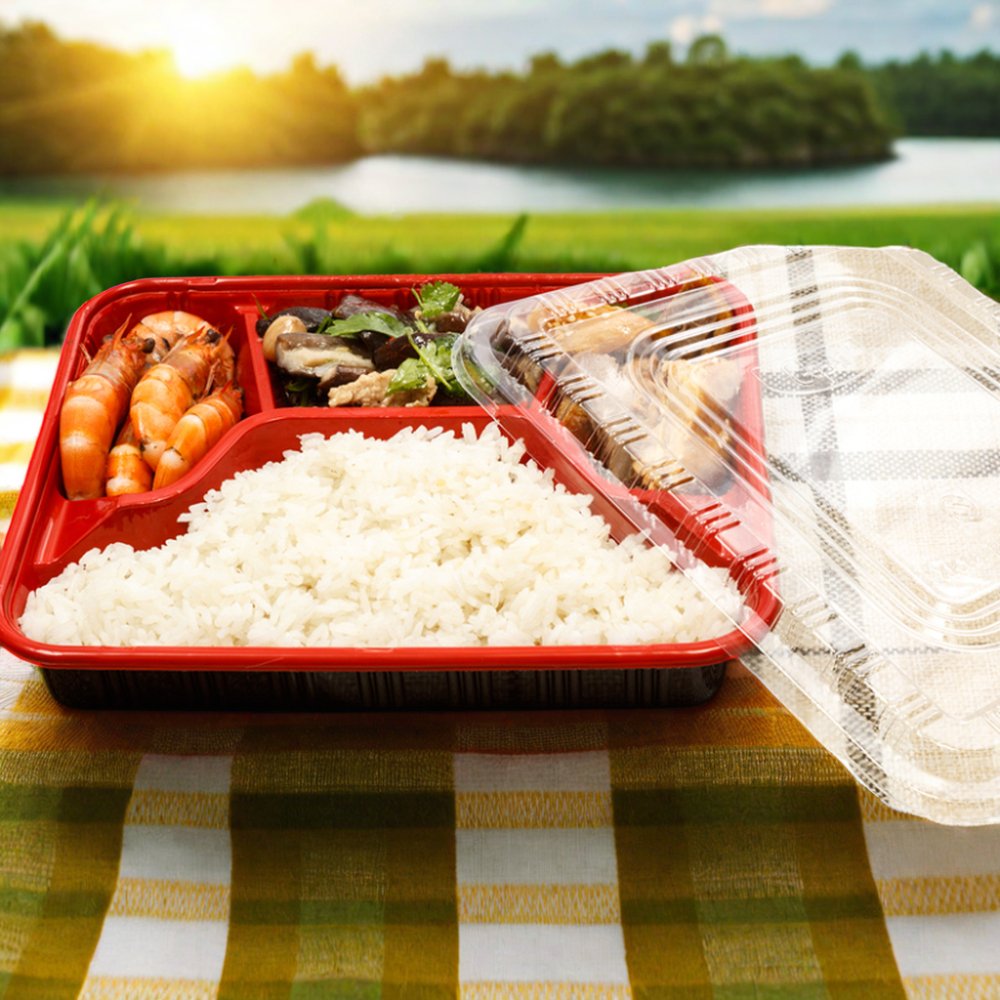 Freezer Microwave Disposable Plastic Takeaway 3 Compartment Meal Prep Food Container with Lid Kitchen Injection Travel Rectangle