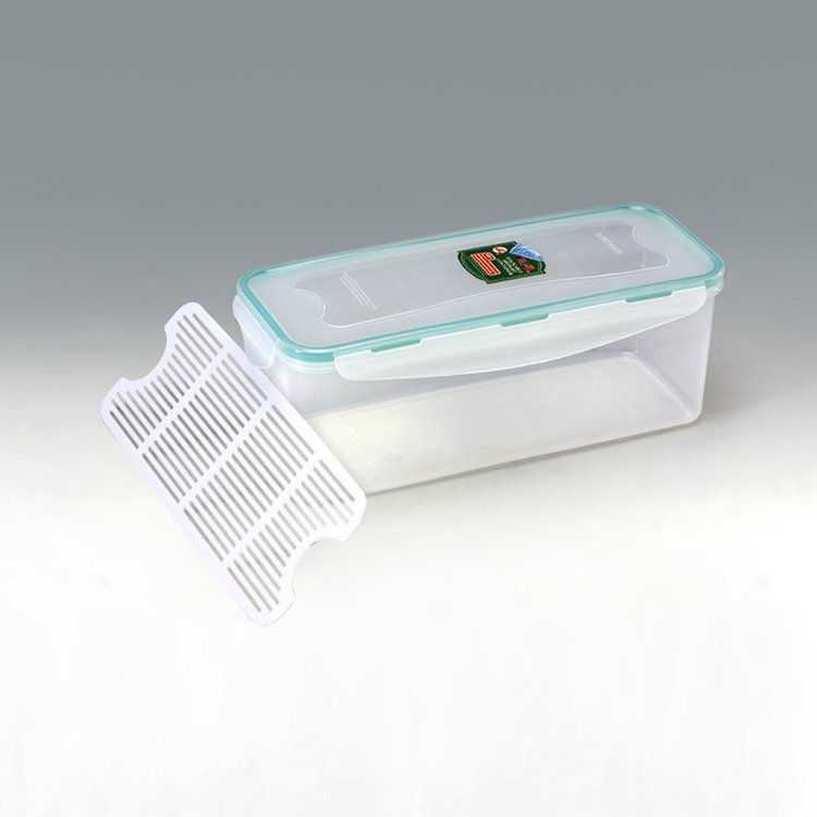 nice hot promotion gift plastic food storage box for fish