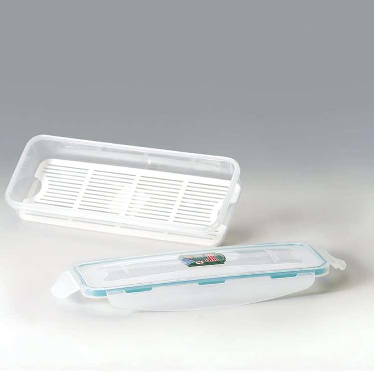 nice hot promotion gift plastic food storage box for fish