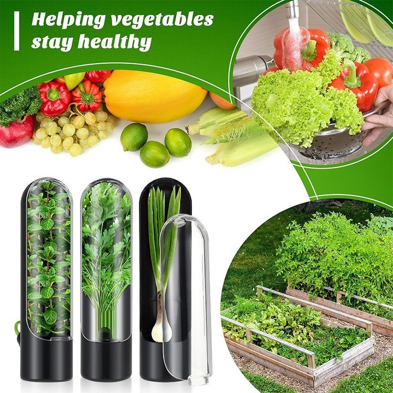 Herb Saved Pot Vanilla Vegetable Mint Asparagus Fresh-Keeping Plastic Storage Box for Home Kitchen Use