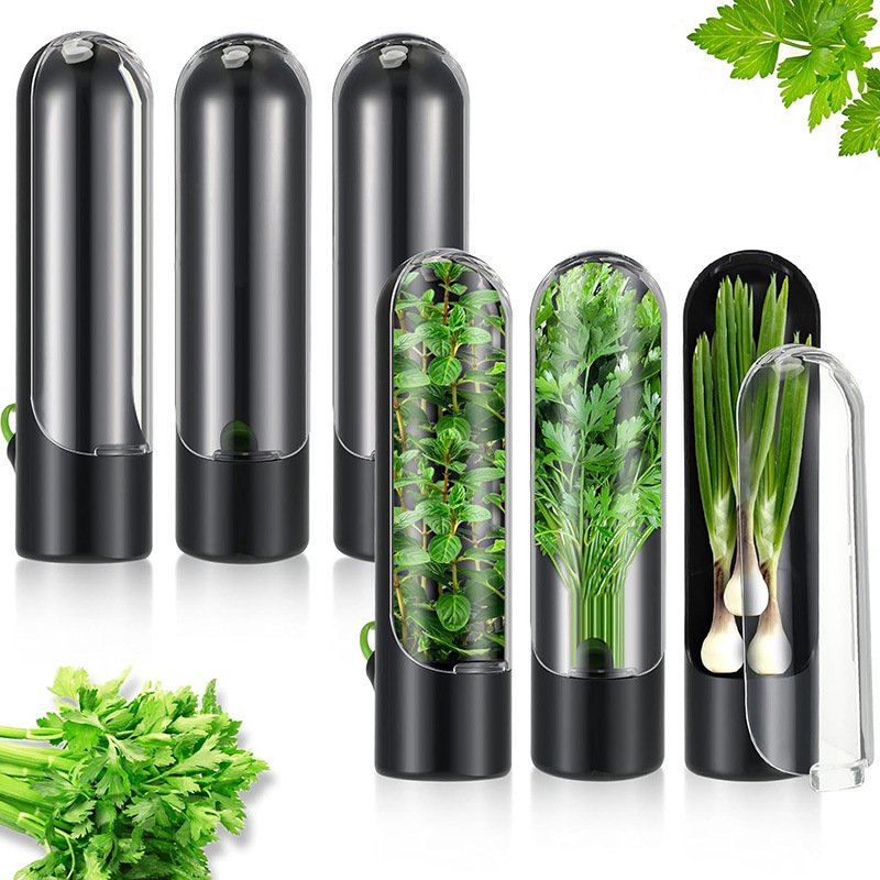 Herb Saved Pot Vanilla Vegetable Mint Asparagus Fresh-Keeping Plastic Storage Box for Home Kitchen Use