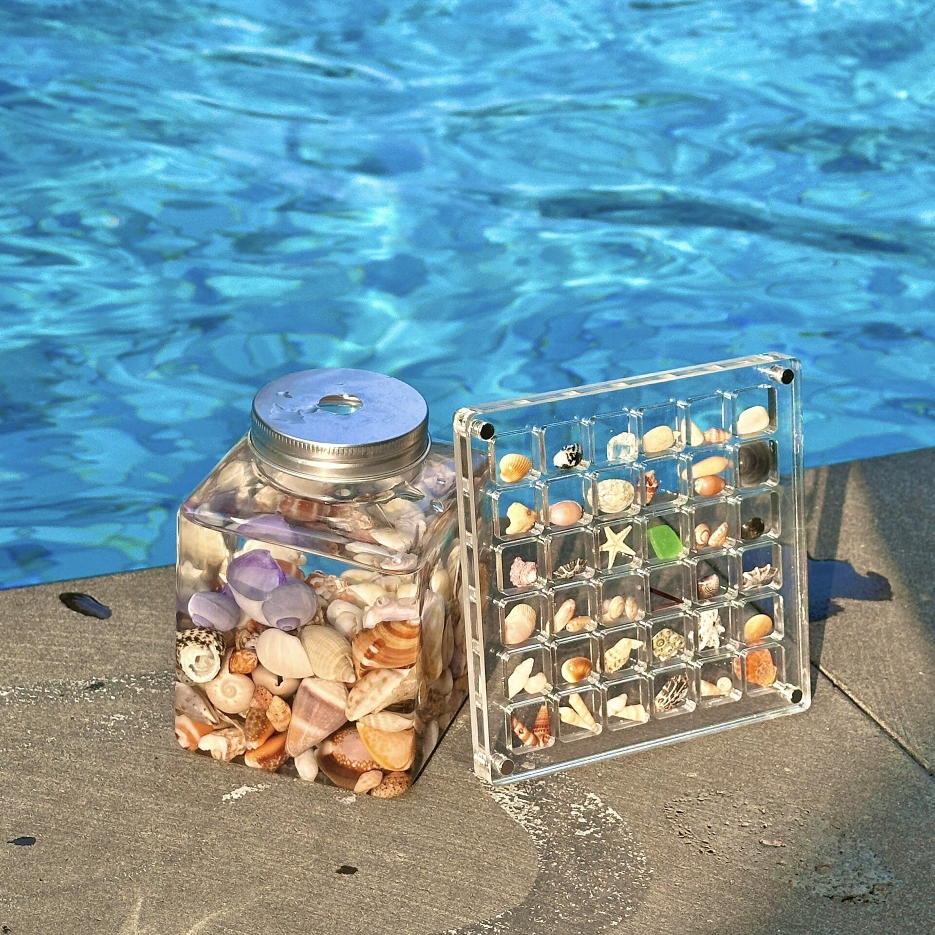 32&64&100 Grids Magnetic Seashell Display Storage Box Diamond Gemstone Beads Organizer Acrylic Transparent Jewelry Collector