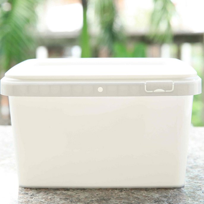 Trending 2022 Vietnam Hot Selling Food Storage Plastic Thermal Food Container