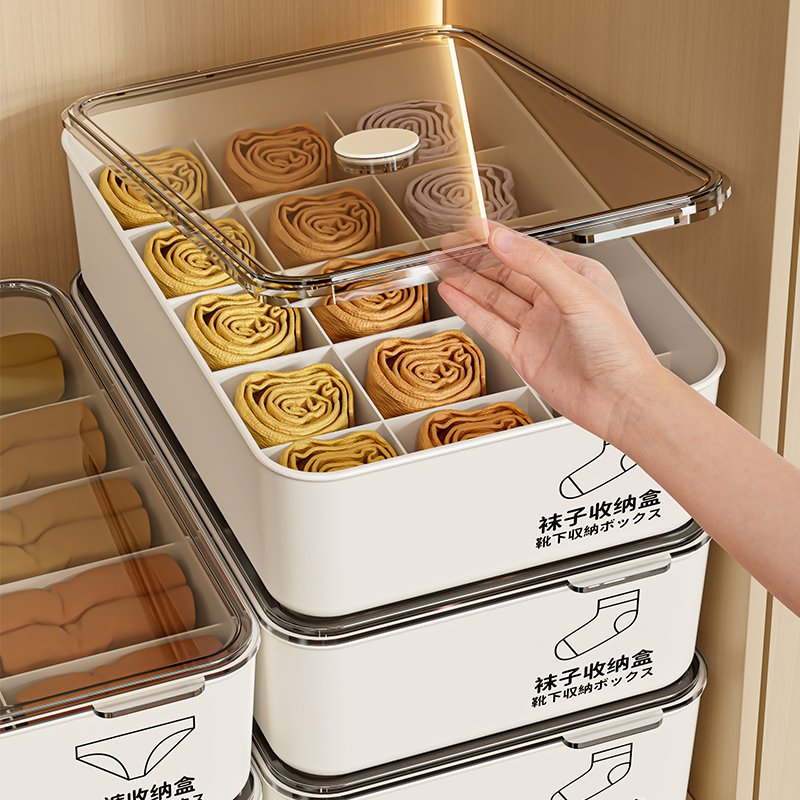Eco-Friendly Cloth Organizer Underwear Storage Boxes for Green Space Utilization