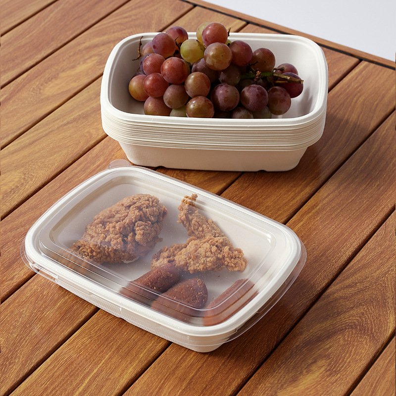 PFAS Free disposable tableware sugarcane bagass biodegradable food boxes 8''*6'' take away food container with lid
