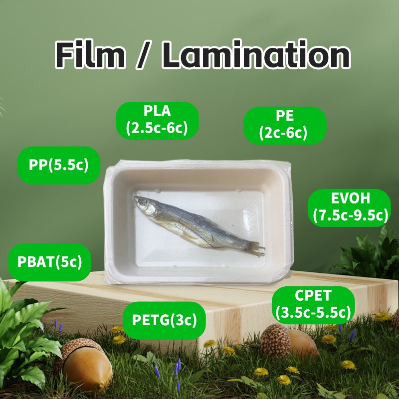 PFAS Free disposable tableware sugarcane bagass biodegradable food boxes 8''*6'' take away food container with lid