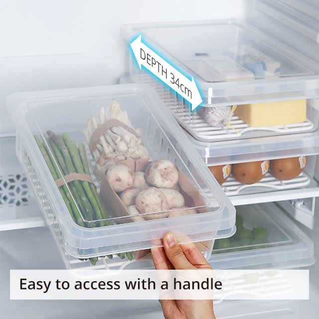 SHIMOYAMA Plastic Transparent Fruit/Vegetables Celery Storage Box Refrigerator Food Container With A Clapboard