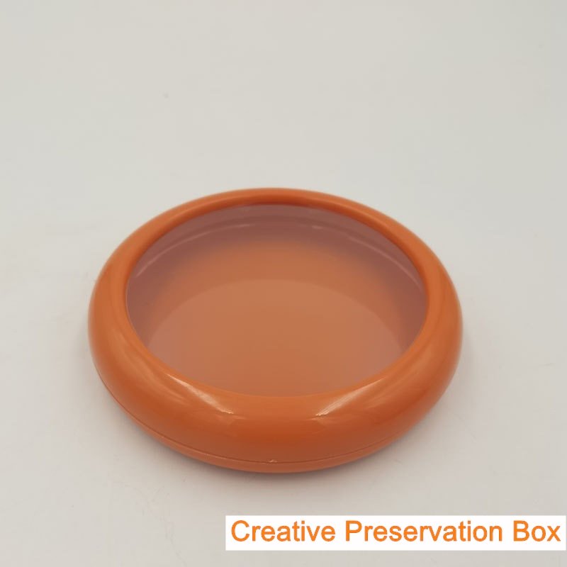 Cute Design TPU-Film Seal ABS Fruit Preservation Box for Food Storage for Travel Use