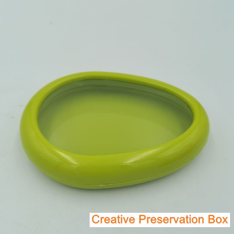 Cute Design TPU-Film Seal ABS Fruit Preservation Box for Food Storage for Travel Use